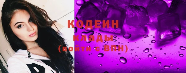 прущие грибы Новодвинск