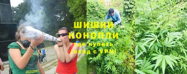 не бодяженный Новозыбков