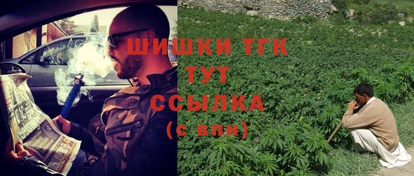 не бодяженный Новозыбков