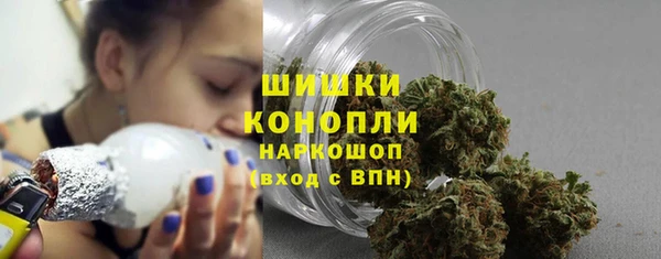 прущие грибы Новодвинск