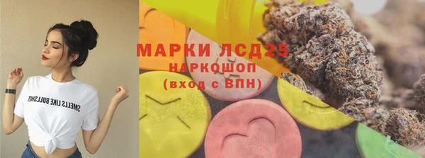 шишки Нязепетровск