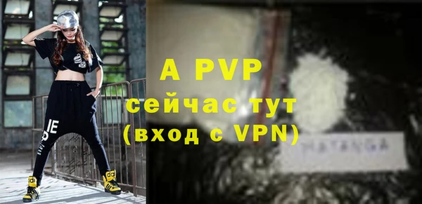 прущие грибы Новодвинск