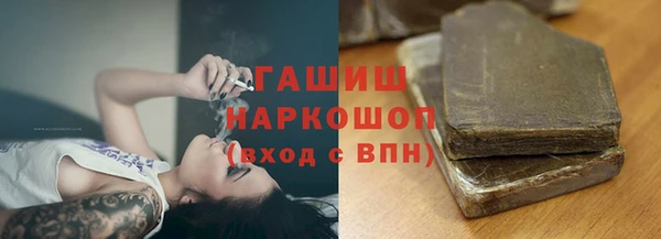 прущие грибы Новодвинск