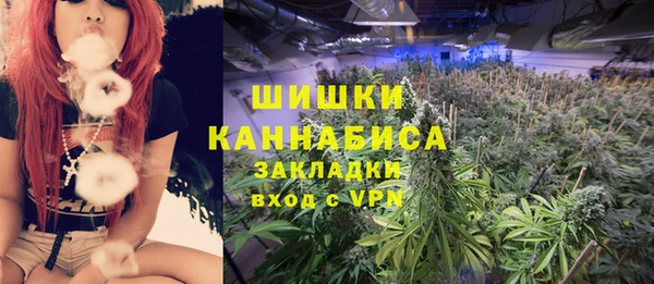 гидра Няндома