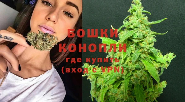 прущие грибы Новодвинск