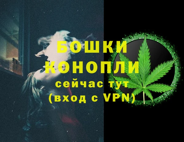 не бодяженный Новозыбков