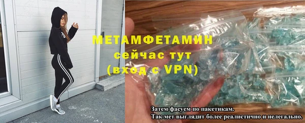 прущие грибы Новодвинск