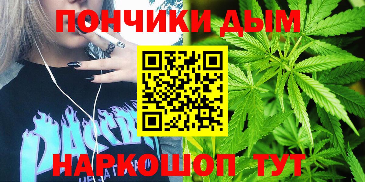 Каннабис сатива Балахна